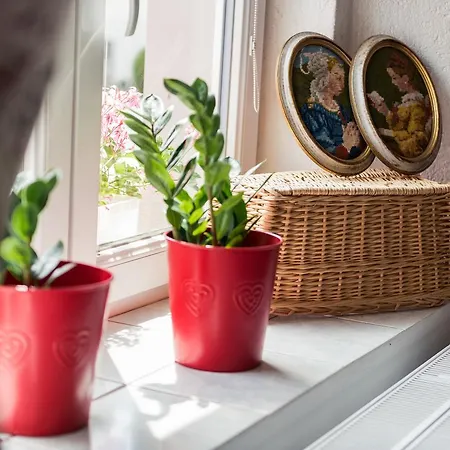Apartmany Rabi * Rabí